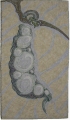 peapod.jpg